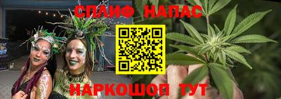 PSILOCYBIN Малгобек