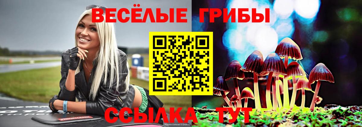 Галлюциногенные грибы Psilocybine cubensis  Вход с VPN  Псилоцибиновые грибы GOLDEN TEACHER  Дзержинский 